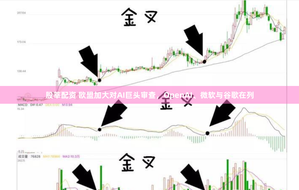股莘配资 欧盟加大对AI巨头审查，OpenAI、微软与谷歌在列