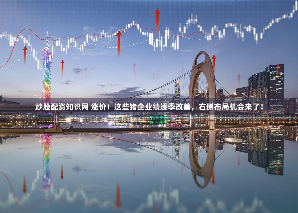炒股配资知识网 涨价！这些猪企业绩逐季改善，右侧布局机会来了！