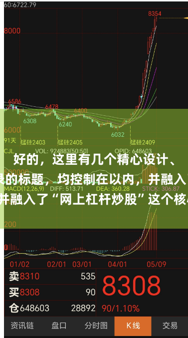 好的，这里有几个精心设计、适合百度收录的标题，均控制在以内，并融入了“网上杠杆炒股”这个核心关键词：