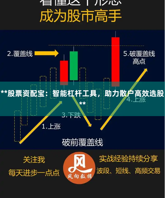 **股票资配宝：智能杠杆工具，助力散户高效选股**