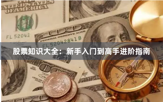 股票知识大全:新手入门到高手进阶指南