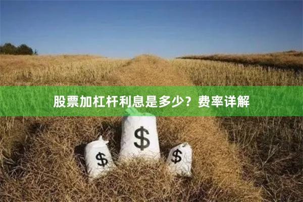 股票加杠杆利息是多少?费率详解